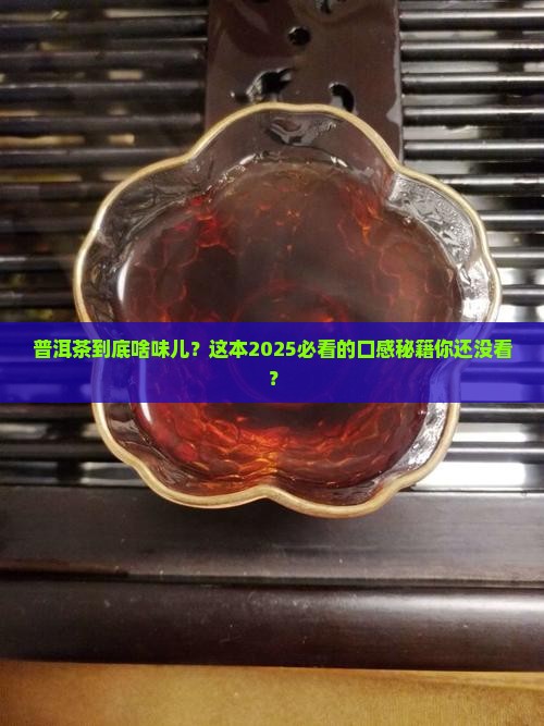 普洱茶有什么口味好喝的