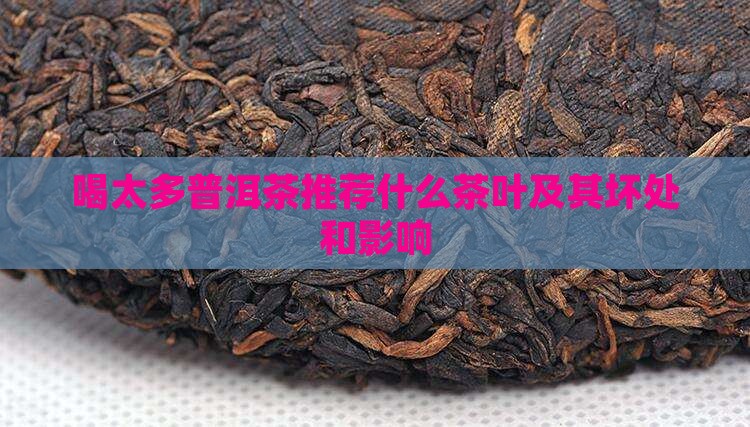 喝太多普洱茶推荐什么
