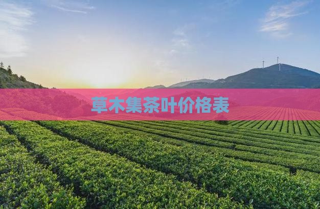草木集茶叶价格表