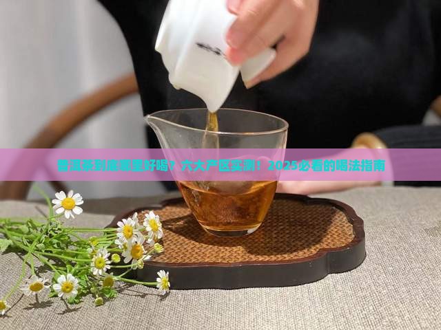 中国六大普洱茶产区