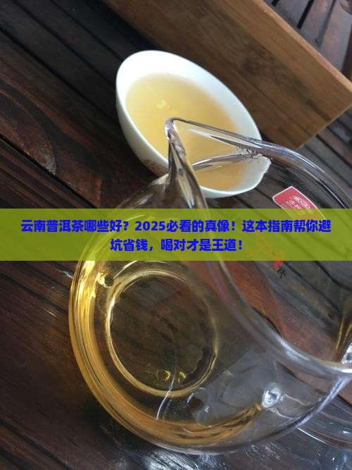 云南普洱茶哪些品牌好