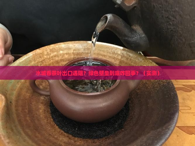水城春茶叶的出口绿色壁垒