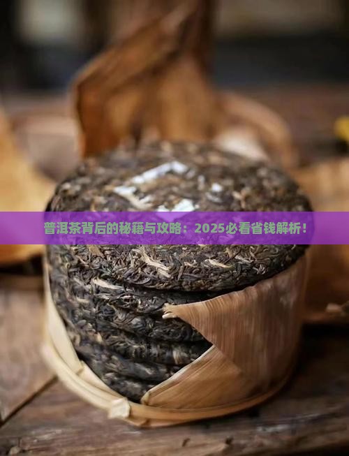普洱茶后面的编号