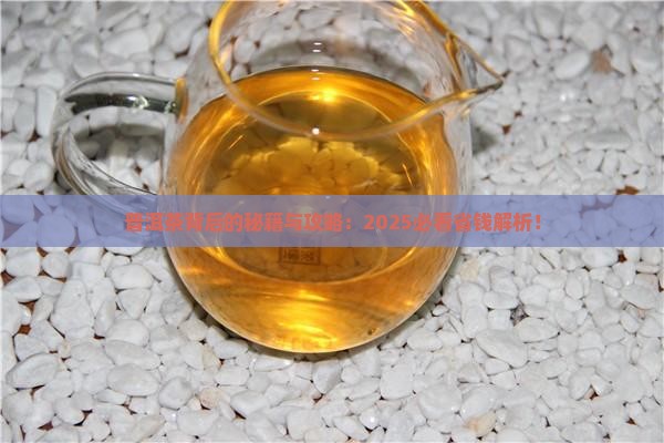 普洱茶后面的编号