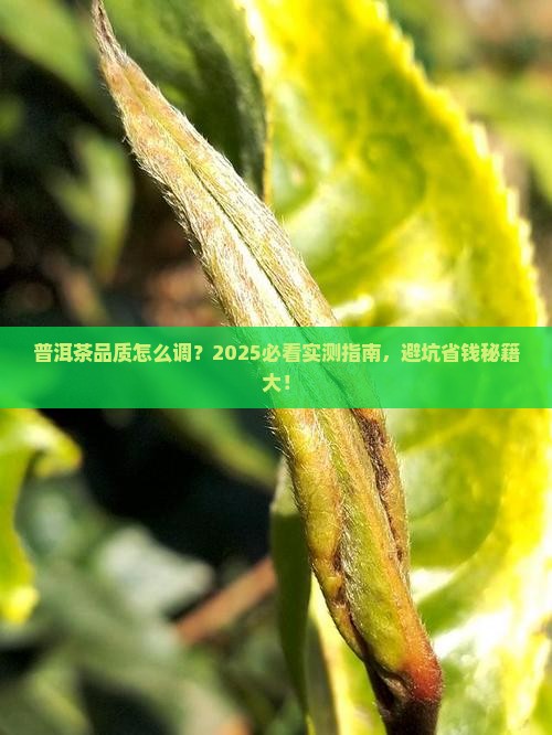 普洱茶品质调控