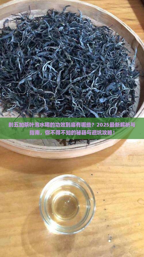 刺五加茶叶泡水喝的功效