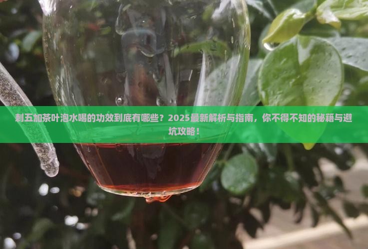 刺五加茶叶泡水喝的功效