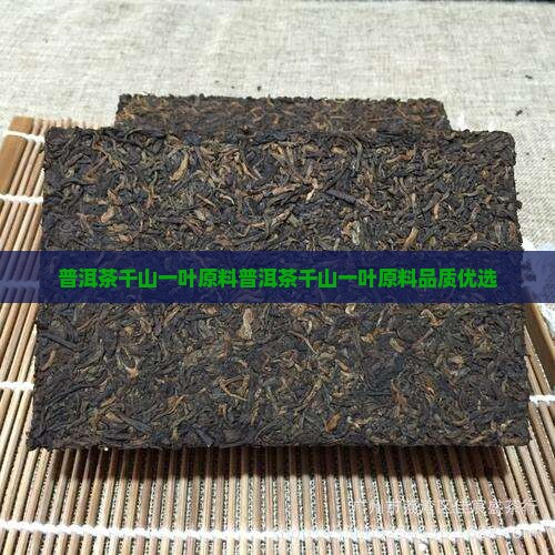 普洱茶千山一叶原料