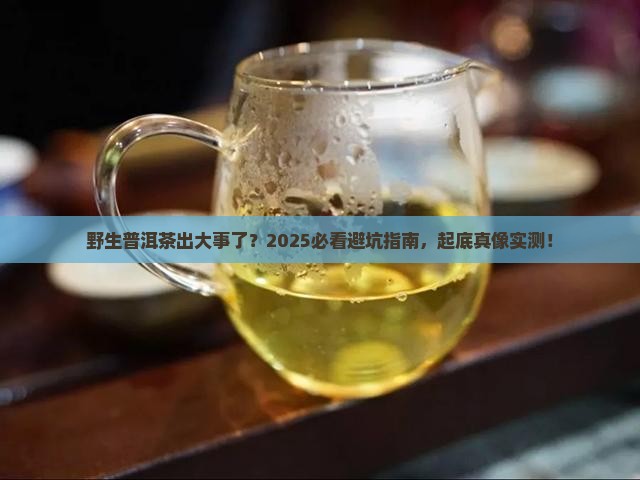野生普洱茶出事