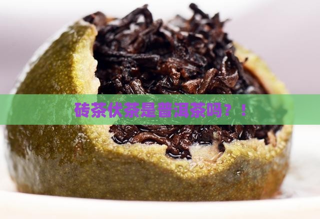 砖茶伏茶是普洱茶吗