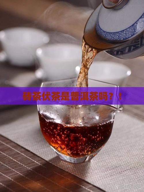 砖茶伏茶是普洱茶吗