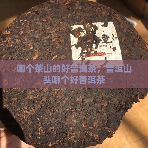 哪个山的好普洱茶