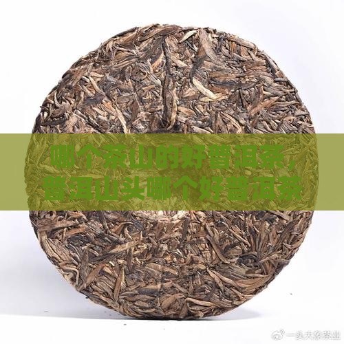 哪个山的好普洱茶