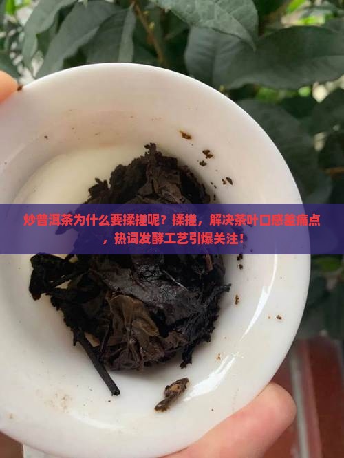 炒普洱茶为什么要揉搓呢