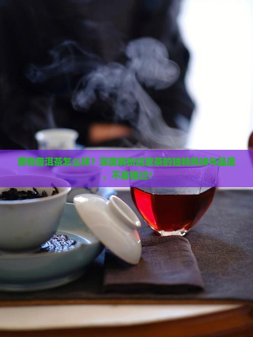 菩物普洱茶怎么样