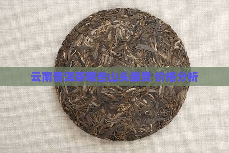 云南普洱茶哪些山最贵