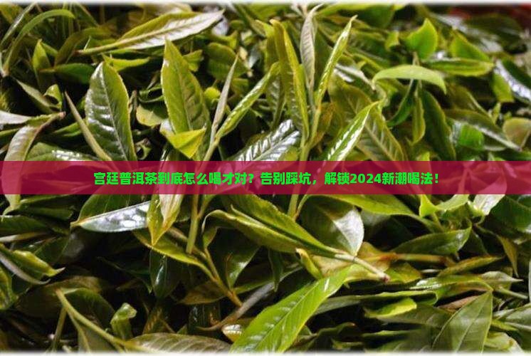 宫廷普洱茶的正确喝法