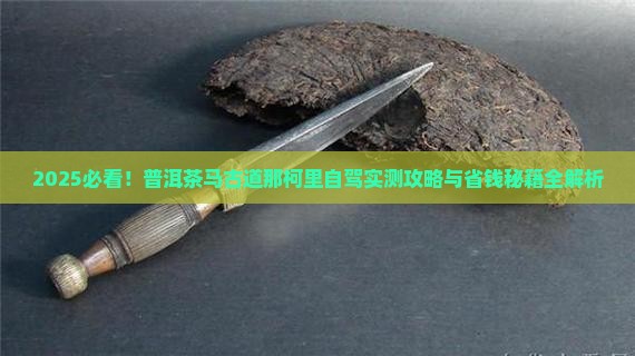 普洱茶马古道那柯里有车吗