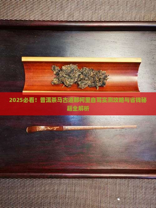 普洱茶马古道那柯里有车吗