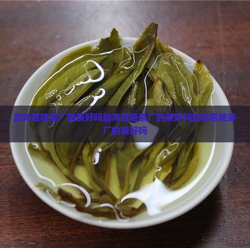 勐海茗艳茶厂的茶好吗