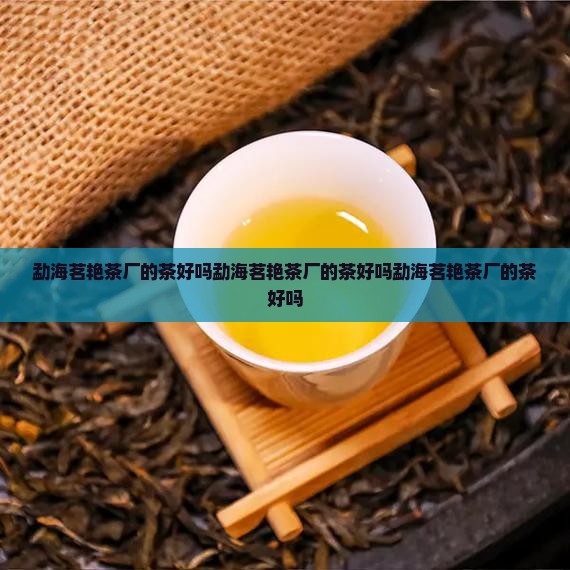 勐海茗艳茶厂的茶好吗