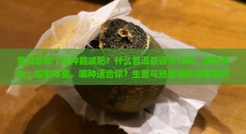 普洱茶哪个品种能减肥