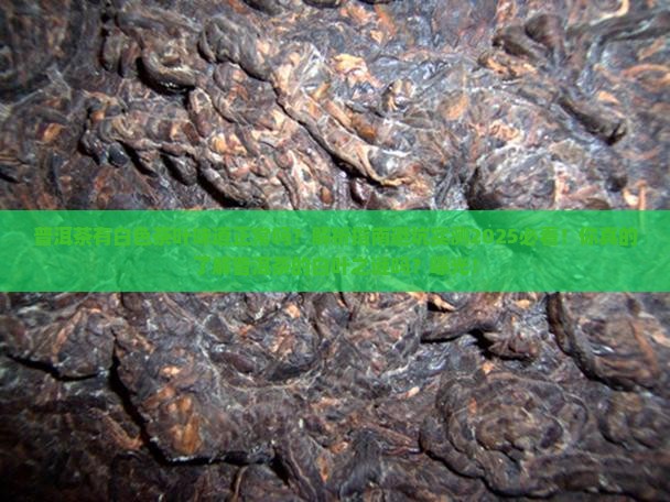 普洱茶有白色茶叶味道正常吗