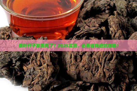 茶叶杆子发黑死了