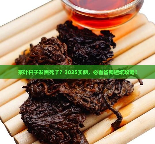 茶叶杆子发黑死了