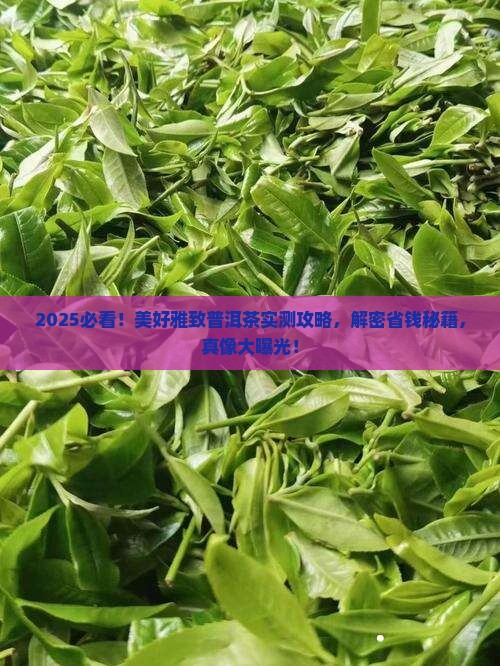 美好雅致普洱茶