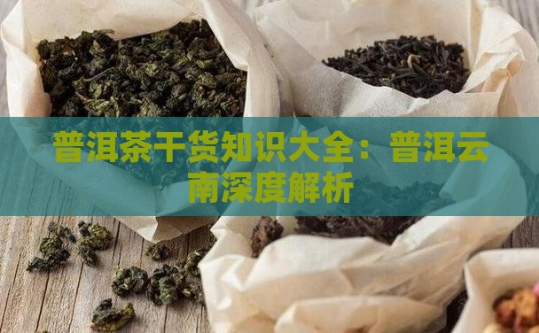 普洱茶干货知识大全