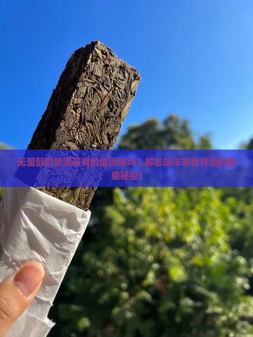无量醇韵普洱茶