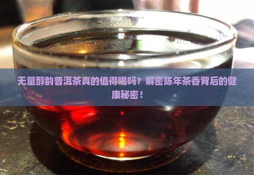 无量醇韵普洱茶
