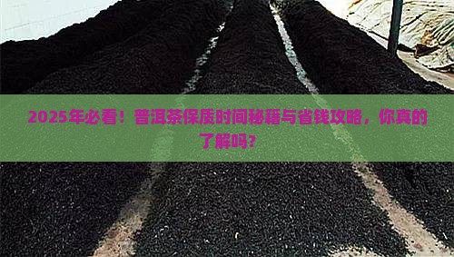 普洱茶的保质时间应多长