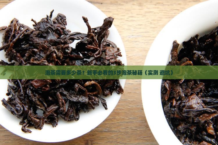 泡茶需要多少茶
