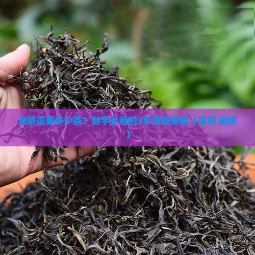泡茶需要多少茶