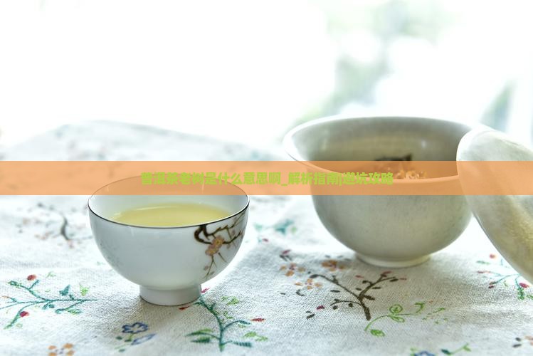 普洱茶老树是什么意思啊