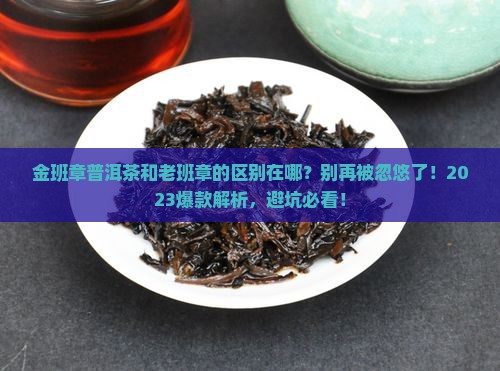 金班章普洱茶和老班章的区别