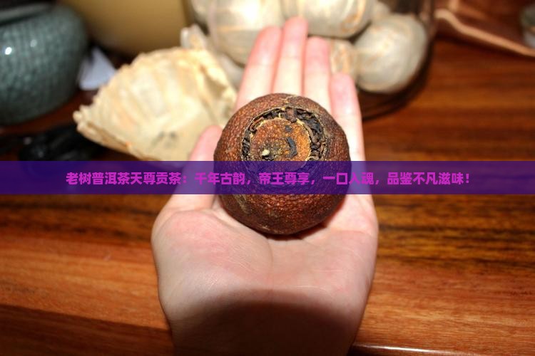 老树普洱茶天尊贡茶