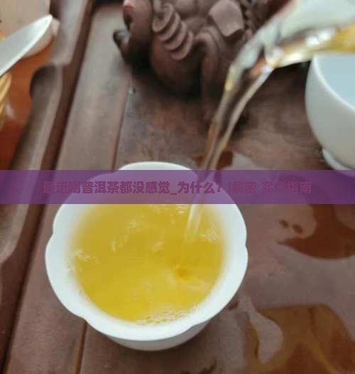最近喝普洱茶都没感觉