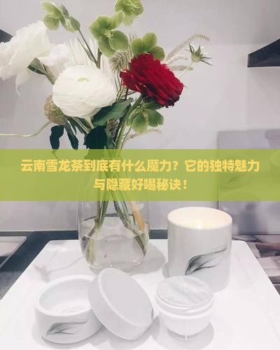 云南雪龙茶的特点