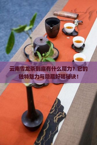 云南雪龙茶的特点