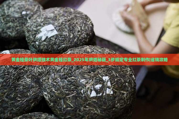 黄金桂茶叶烘培技术黄金桂红茶