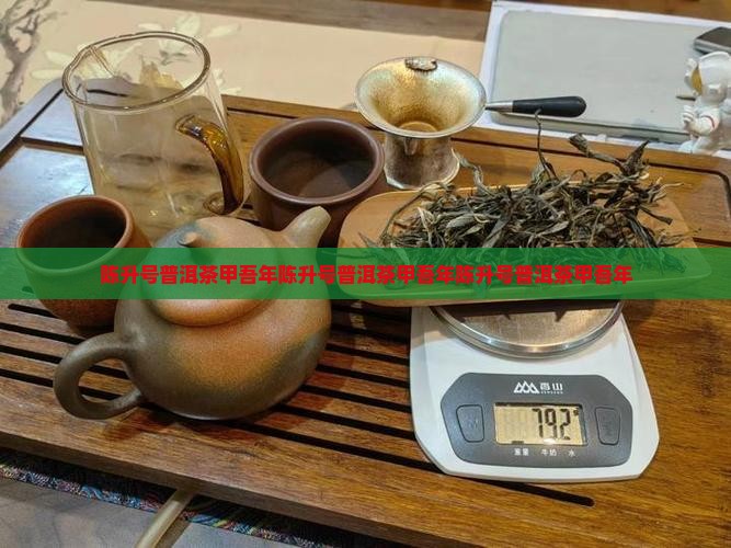 陈升号普洱茶甲吾年