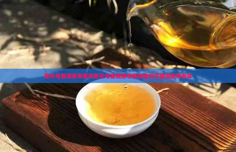 陈升号普洱茶甲吾年