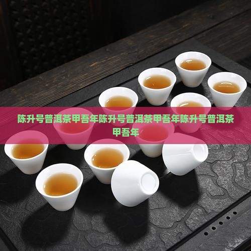 陈升号普洱茶甲吾年
