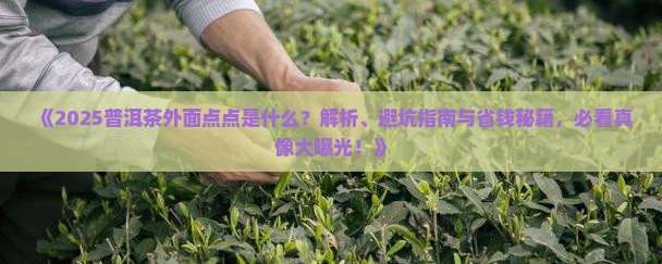 普洱茶外面的点点