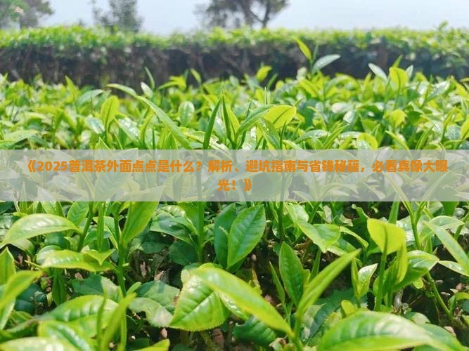 普洱茶外面的点点