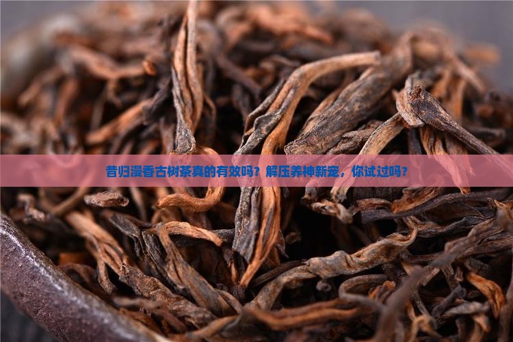 昔归漫香古树茶的功效