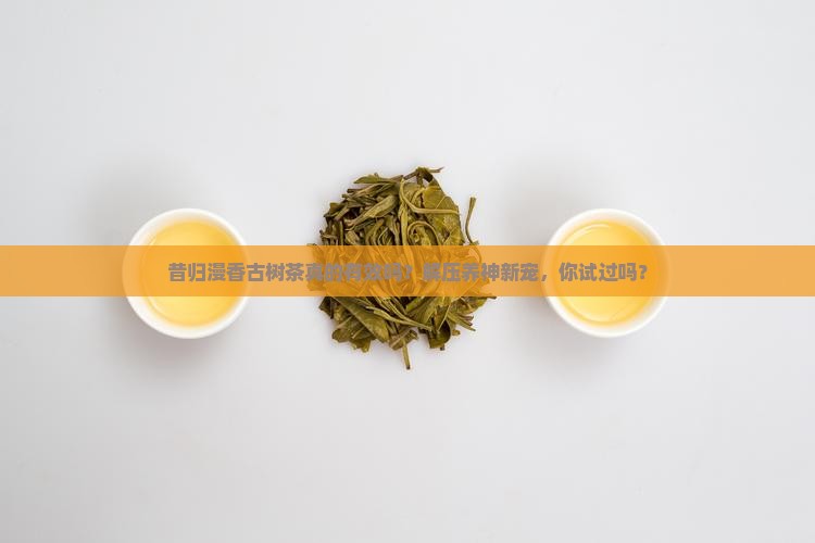 昔归漫香古树茶的功效